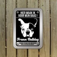 Franse Bulldog — foto 1