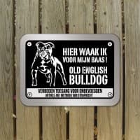 Old English bulldog — foto 1