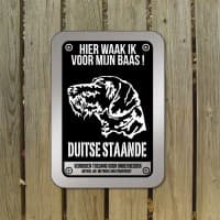 Duitse Staande — foto 1
