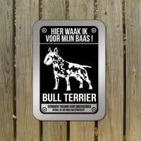 Bull Terrier — foto 1