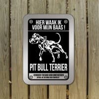 Pit Bull terrier — foto 1