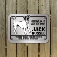 Jack Russel — foto 1